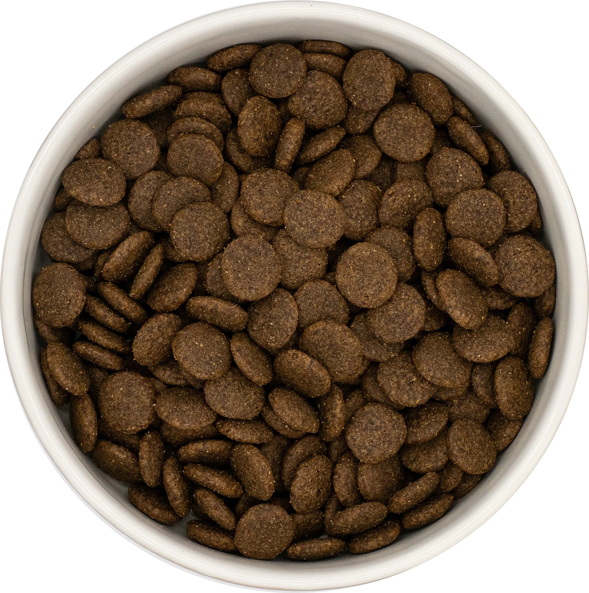 Dog Food