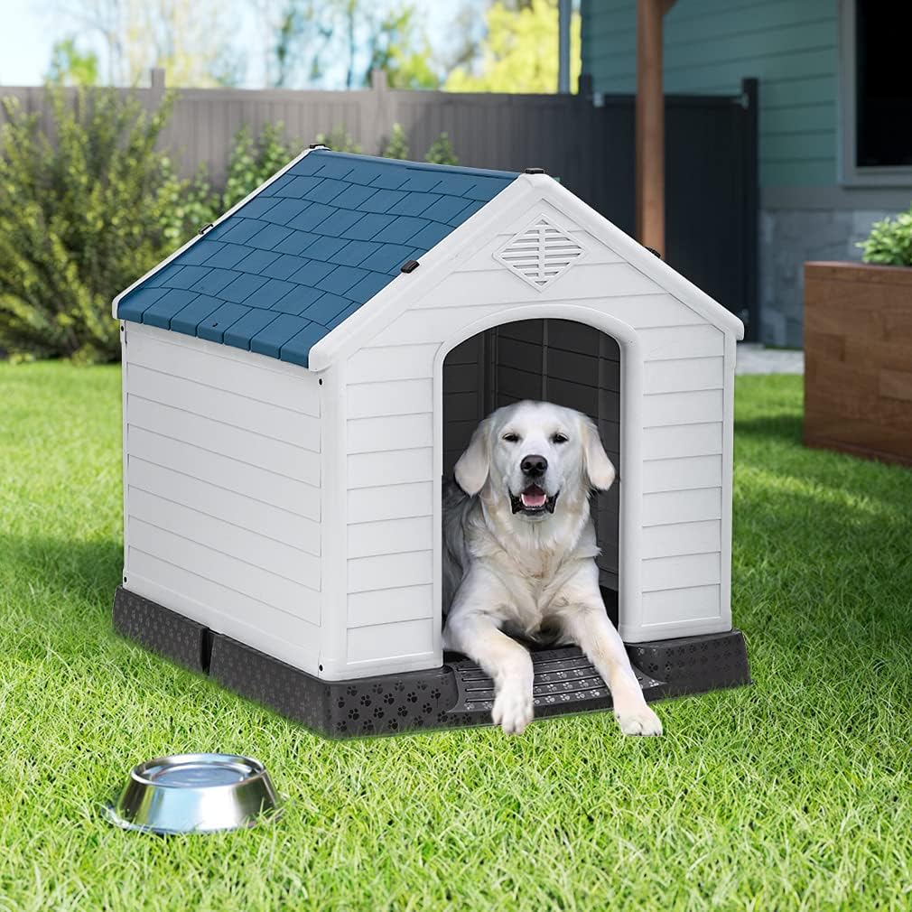 Dog House