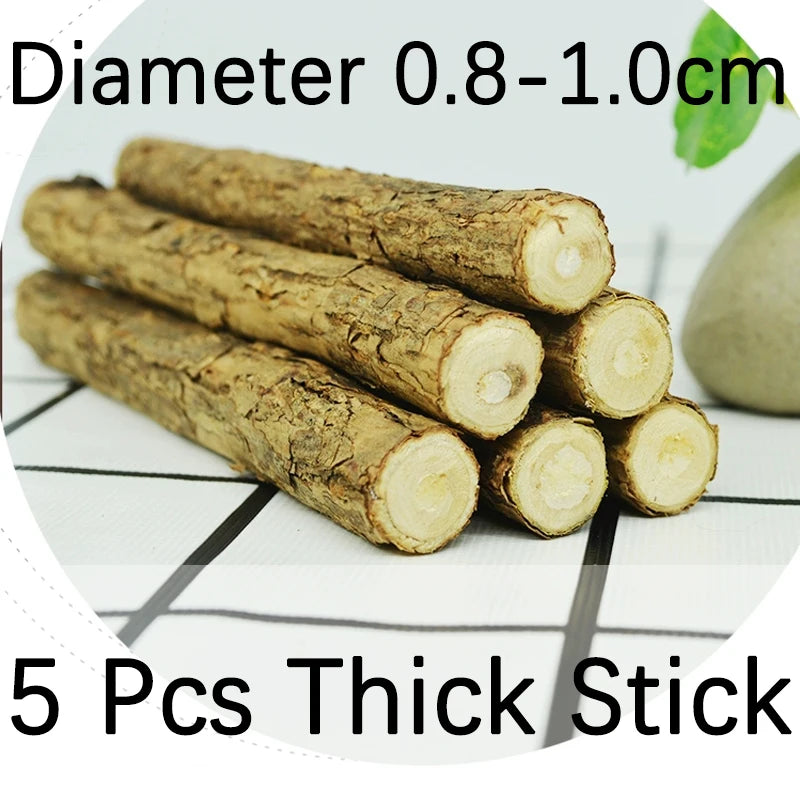 Natural Catnip & Silvervine Molar Sticks – Cat Teeth Cleaning Chew Toys (5–20pcs) - Pet Suppie