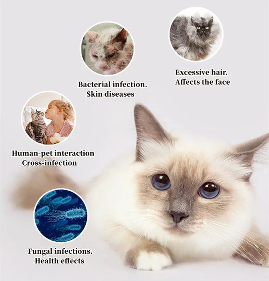 Cat Comb Dog Hair Remover Brush UVC Sterilization Pet Grooming Slicker Needle Comb Removes Tangled Self Cleaning Pet Supplies - Pet Suppie