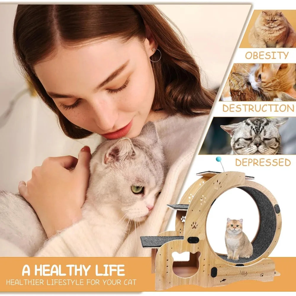 6-in-1 Cat Exerciser Wheel with Pet Bed,Scratching Board, Detachable Mat,Climbing Frame, Nest Toys,51 inch Cat Wheel Indoor