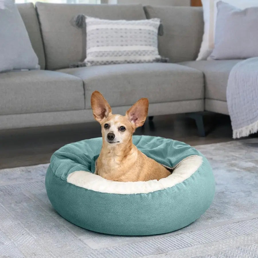 Cozy Cuddler Ilan Covered Cat and Dog Bed with Attached Blanket, Tide Pool Blue, 24x24