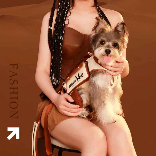 Dog Carriers Bags Portable Cat Backpack Pet Travel Portable Accessories Products Comfortable Travel Bag Cartoon Design Tractable