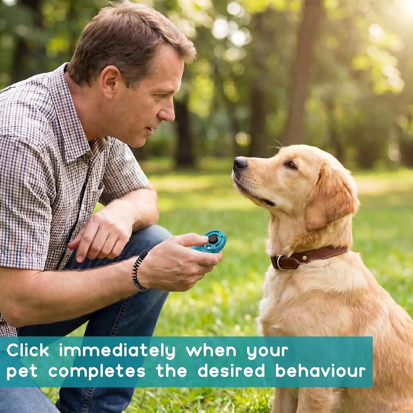 2pcs Dog Training Clicker With Sring Wrist And Keyring - Pet Dog Training Clickers For Puppy, Cat, Potty, Bird, Horse, Pet, Trai