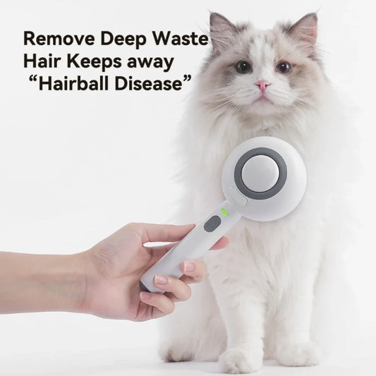 Pet spray Comb Cat Cleaning Massage Comber Brush Removing Float Needle Comb Anti Flying Hair Spray Cat Dog Comb Beauty Products - Pet Suppie