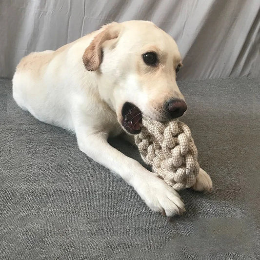 Dog and cat interactive toys with knots for teeth cleaning and chewing. Durable, knotted toys, for entertainment, pet supplies.