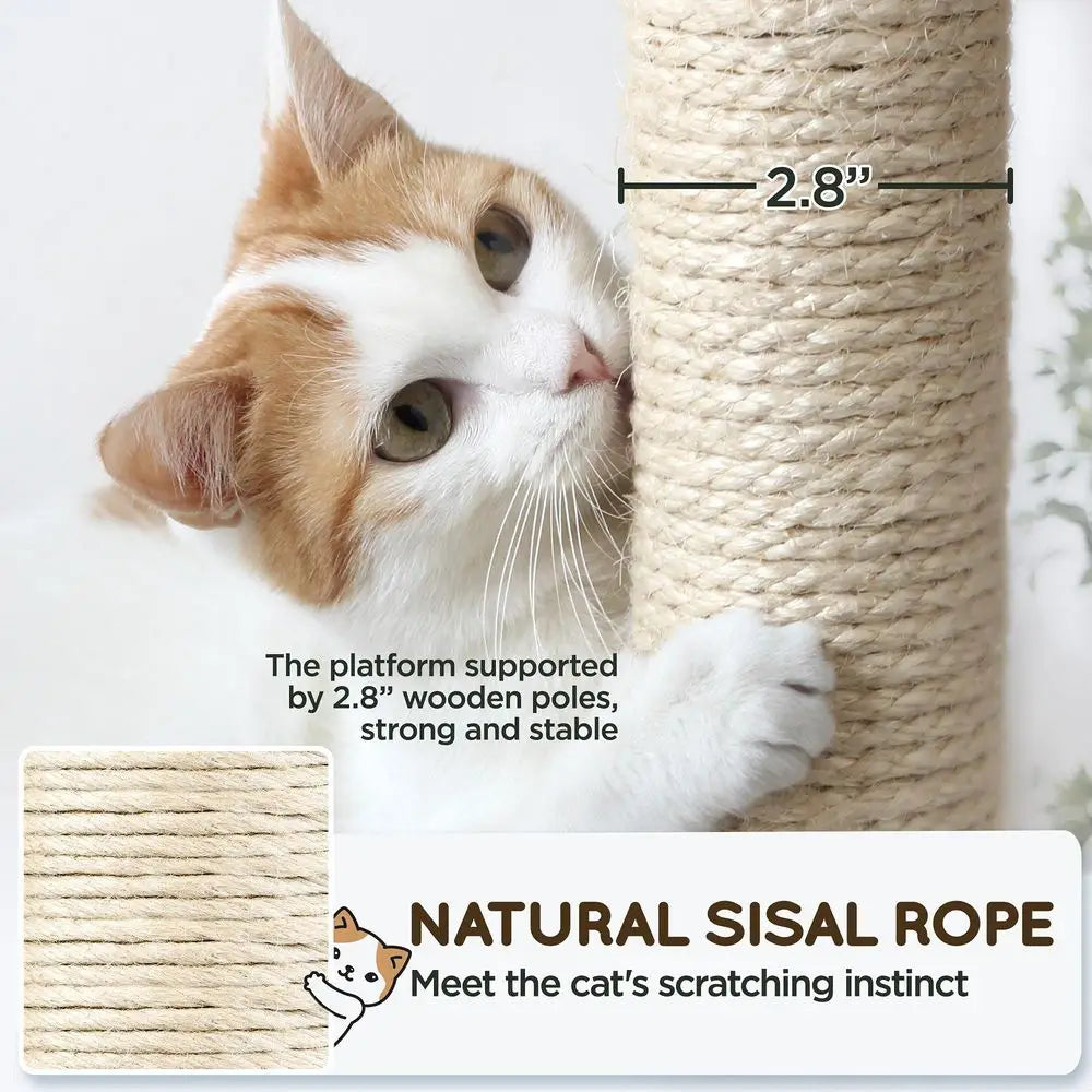 Cat Tree, 63 Inches MultiLevel Indoor Cat Play Structure with Scratching Posts, Hammock, and Dangling Ball