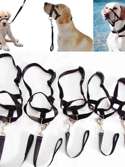 New Nose Ring Around The Mouth Dog Muzzle Adjustable Pet Supplies Prevent Dogs From Eating Randomly Prevent Random Biting - Pet Suppie