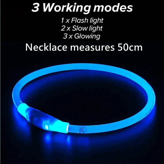 USB Rechargeable LED Dog Collar – Flashing Safety Glow Collar for Night Walks - Pet Suppie