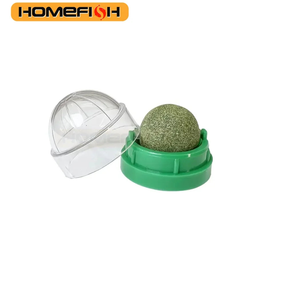 HOMEFISH Natural Catnip Wall Stick-On Ball – Digestive Aid & Teeth Cleaning Cat Grass Treat - Pet Suppie
