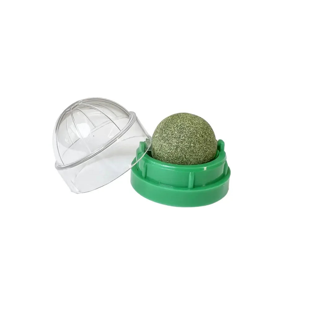 Natural Catnip Wall Stick-On Ball – Cat Grass Scratcher & Digestive Aid Treat for Cats - Pet Suppie