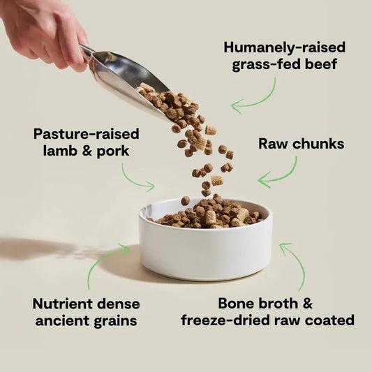 RawMix Dry Dog Food with Ancient Grains Protein-Packed Kibble Coated in Bone Broth with Freeze Dried Raw Chunks Beef Pork and L - Pet Suppie
