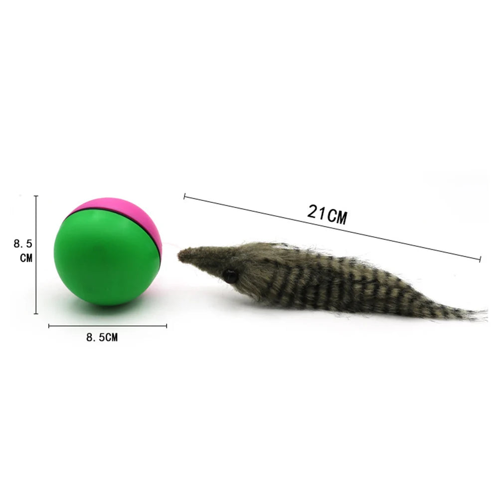 Electric Beaver Weasel Rolling Ball Pet Dog Cat Interactive Chasing Toys Random Traning Dogs Agility Toys Supplies