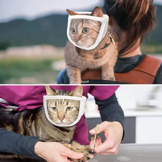 Transparent Anti-Bite Cat Muzzle – Adjustable Breathable Grooming Muzzle for Small Cats (S & M) - Pet Suppie