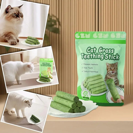 5-Piece Cat Grass Teeth Grinding Sticks – Natural Hairball Removal & Molar Dental Chews for Cats - Pet Suppie