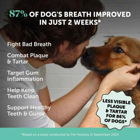 Dog Dental Care Virtual Bundle Mint Dental Powder 60 Servings + Fresh Sticks Oral Hygiene Chews 16 ct