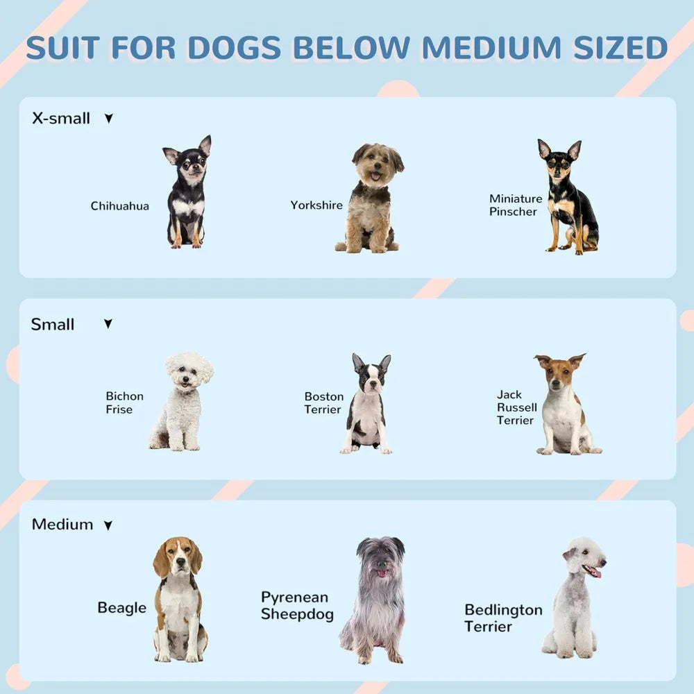 Plastic Dog House for Medium and Small Dogs, Water Resistant Puppy Shelter Indoor Outdoor with Door, Easy to Assemble, Bl