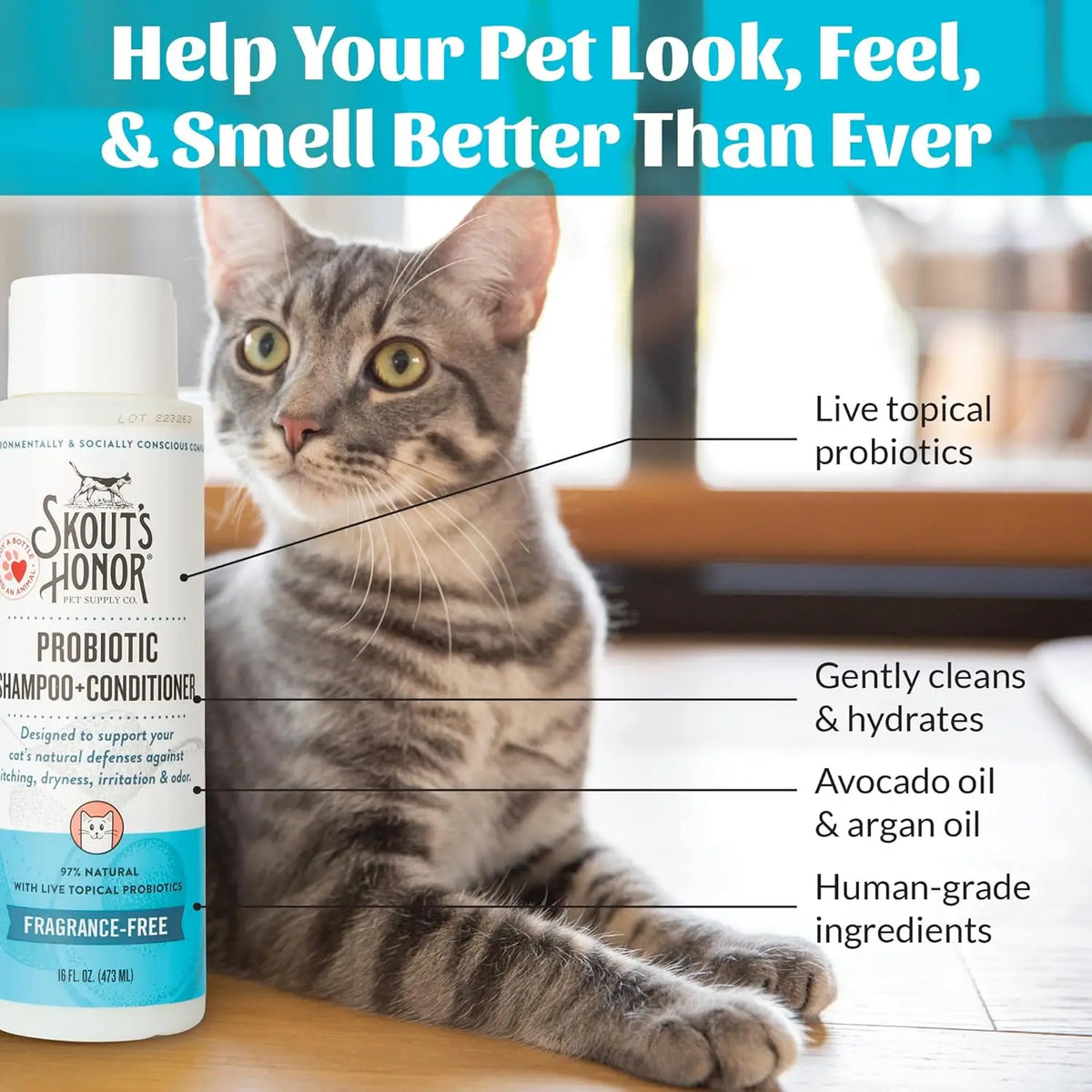 Fragrance-Free Probiotic Cat Shampoo & Conditioner with Avocado Oil & Omega-3s, 97% Natural, Paraben & Sulfate-Free, Cruelty-Fre - Pet Suppie