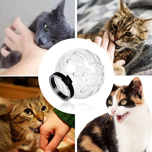 Breathable Cat Grooming Muzzle – Transparent Anti-Bite Space Hood for Bathing & Grooming - Pet Suppie