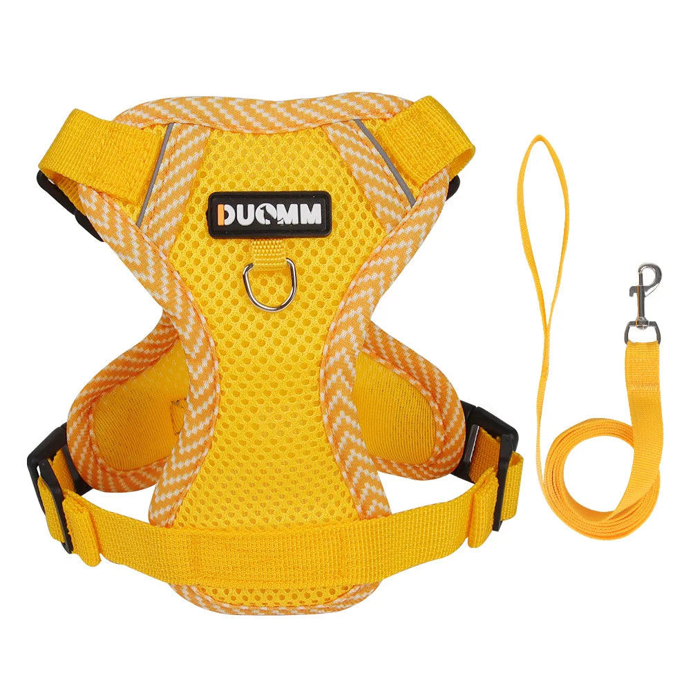 Escape Proof Cat Harness with Leash, Reflective Adjustable Mesh Vest for Cats and Kittens, Safe Outdoor Walking Training Harness