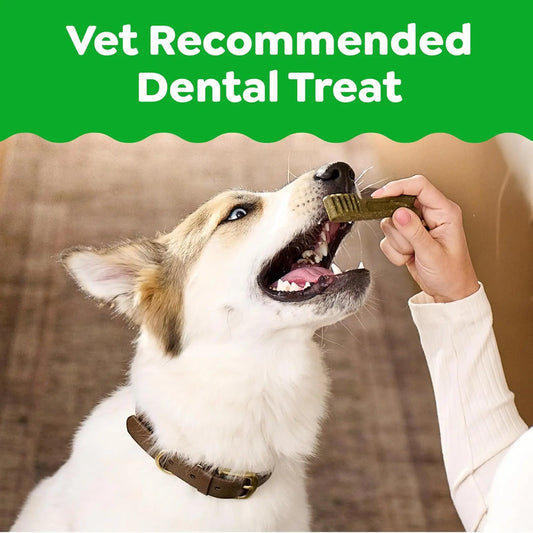 Natural Dental Dog Treats – Vet Recommended Teeth Cleaning Chews for Small Dogs - Pet Suppie