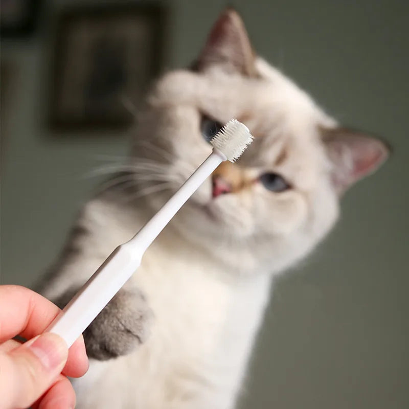 Soft Silicone Cat Toothbrush – Gentle Dental Cleaning Brush for Cat Mouth Care (Blue, White, Green) - Pet Suppie