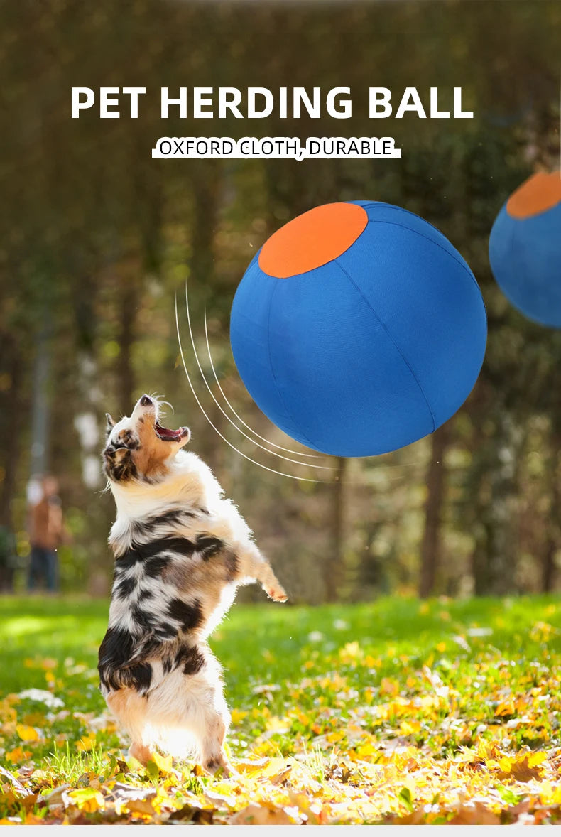Outdoor Dog Toy Inflatable Big Ball Interactive Games Balls Pet Golden Relieve Fretful Boredom Country Dog Corgi Training Ball
