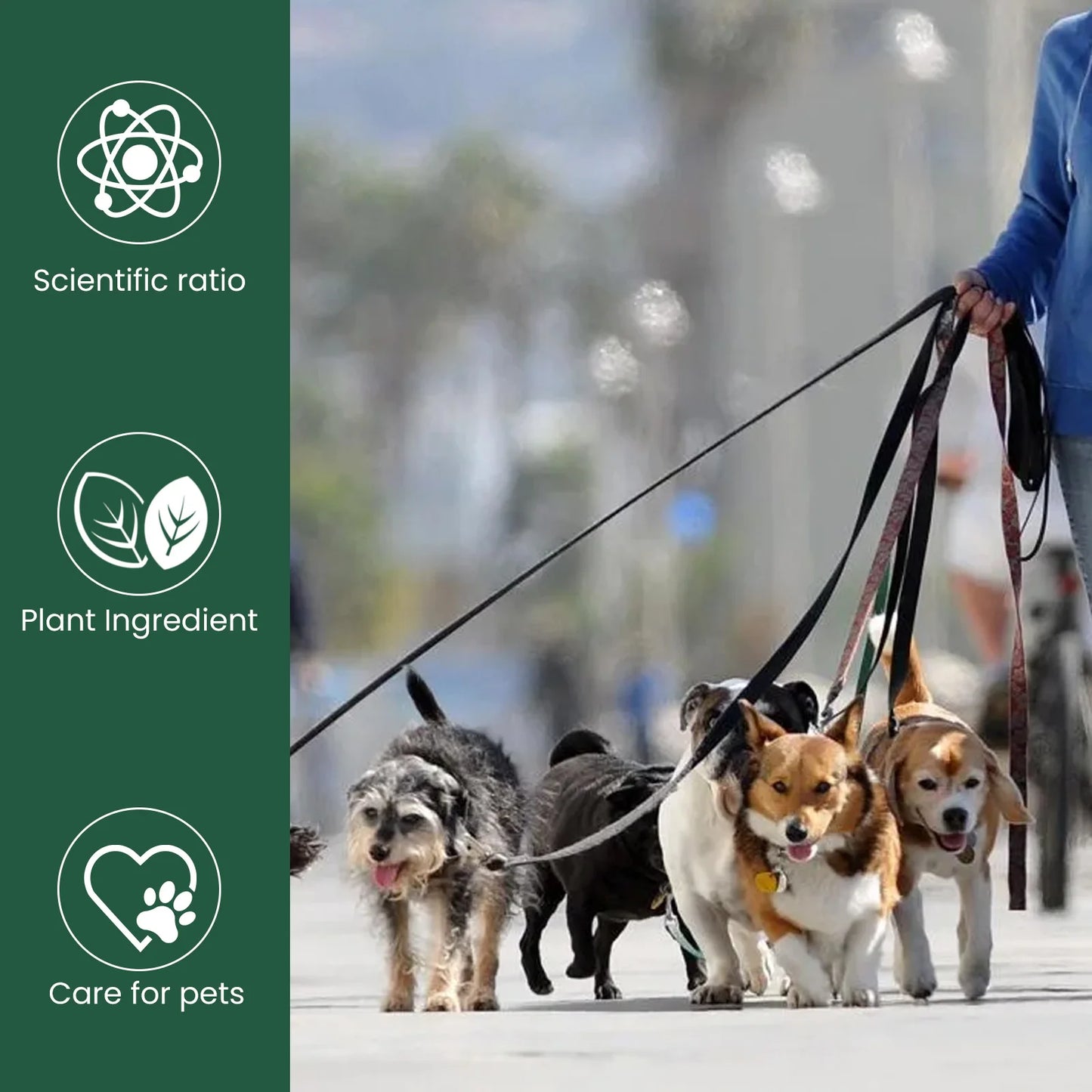 Probiotic Drops to Boost Pet Immunity, Relieve Discomfort in Cats and Dogs, Oral Care for Pets, Bad Breath Solution