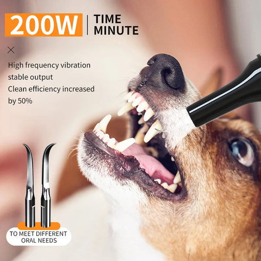 Ultrasonic Electric Dog Toothbrush – Professional Plaque & Calculus Removal for Pet Dental Care - Pet Suppie