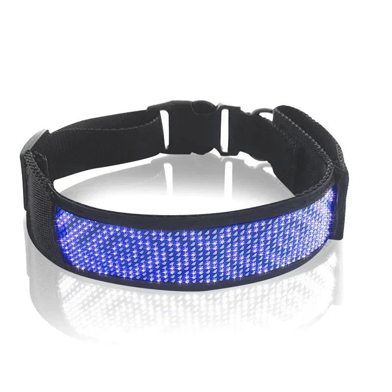 Programmable LED Dog Collar – Flashing Light-Up Rechargeable Safety Collar for Night Walks - Pet Suppie