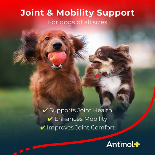 Dog Hip & Joint Supplement with Green-Lipped Mussels & Krill Oil - 60 Soft Gels, Better Than Glucosamine