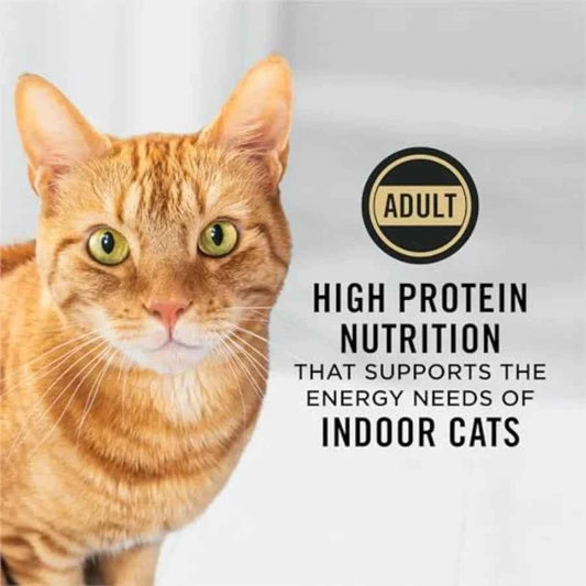 Adult Indoor Chicken and Rice Formula High Protein Cat Food - 16 lb. Bag