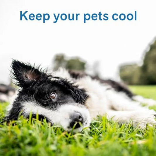 Cool Pet Pad -, - Self-Cooling, Pressure Activated Mat for Dogs and Cats from 21-45 lbs - Non-Toxic Gel, No Water Needed
