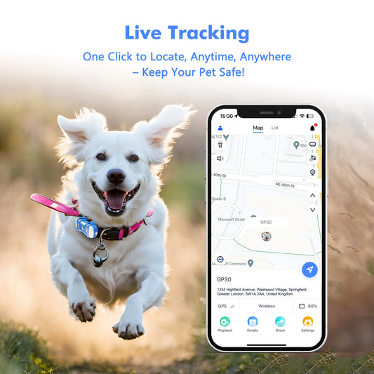 WANWAYTECH 4G Pet GPS Tracker – Waterproof Live Tracking for Dogs & Cats - Pet Suppie