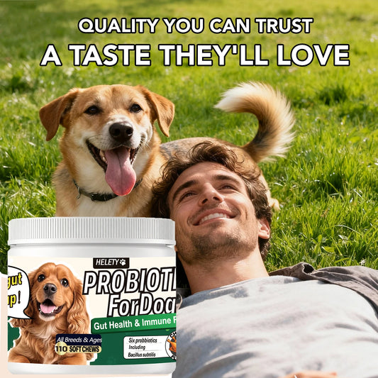 Probiotics for Dogs Digestive Health Soft Chews with Pumpkin & Fish Oil 120 Count Gut Health Itchy Relief Dog Probiotic Suppleme