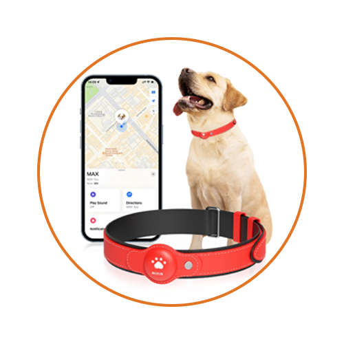 Dog Smart Collar