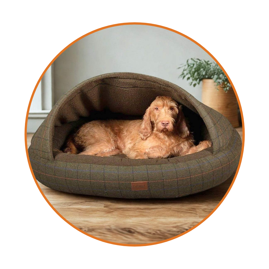 Dog Bed