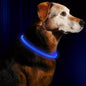 LED Light Collar | Luminous Anti-Lost Dog Collar, USB Rechargeable, ABS Material, Lithium Polymer Battery