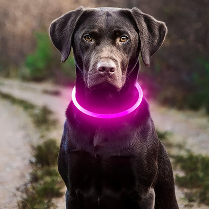 LED Light Collar | Luminous Anti-Lost Dog Collar, USB Rechargeable, ABS Material, Lithium Polymer Battery