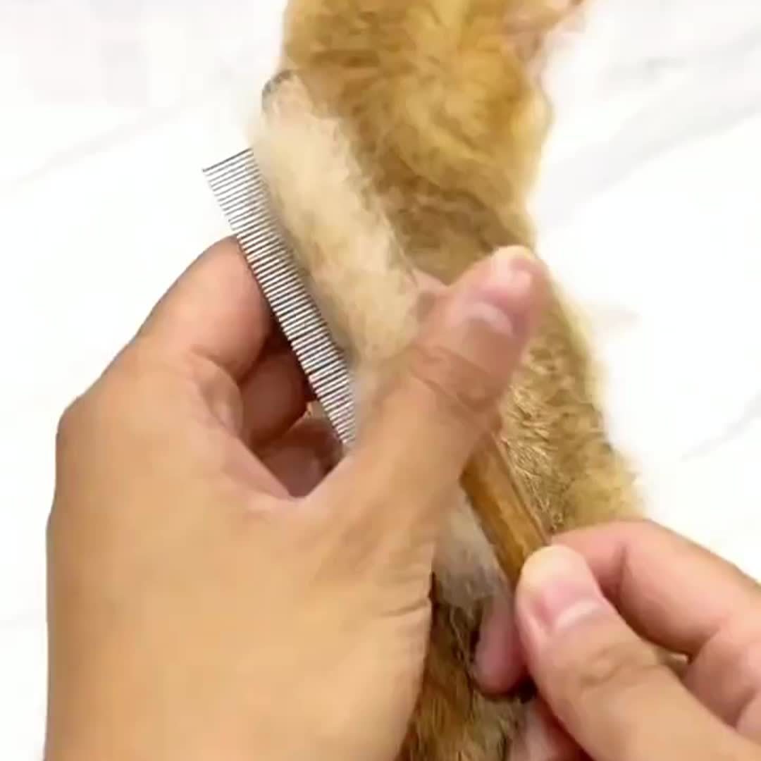 Comfortable wooden handle comb for cats and dogs - stainless steel teeth, suitable for long and short hair, pet beauty tools, stainless steel combs, wooden handle beauty tools