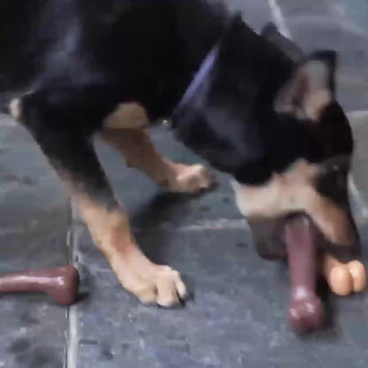 Beef-Flavored Durable Chew Toy for Dogs - Interactive Bone Design, Tough & Safe for All Breeds, Promotes Dental Health & Playtime Fun, Pet Dental Care | Engaging Pet Toy | Durable Polypropylene, Dog Toys for Aggressive Chewer