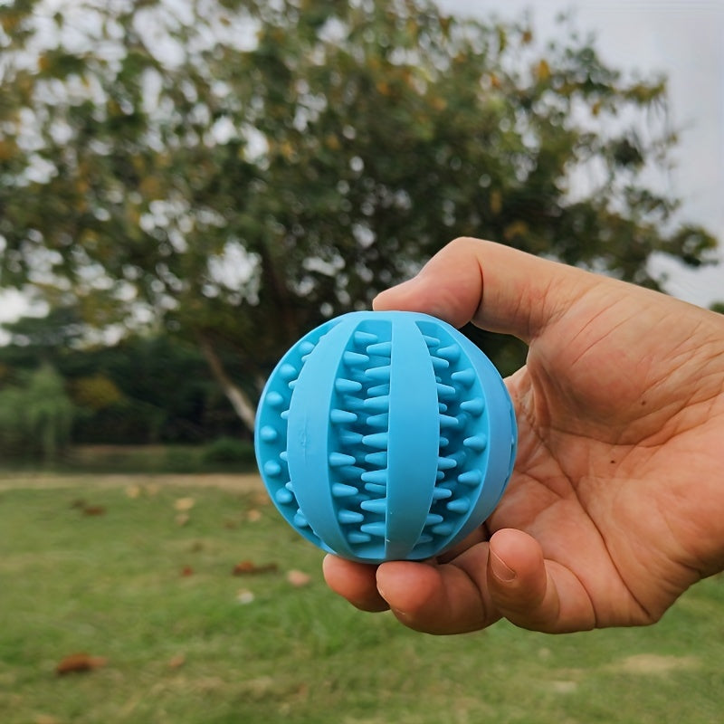 Teddy Puppy Dental Chew Ball for Teeth Cleaning & Plaque Removal - Heavy-Duty Plastic Individually Wrapped Dental Toy with Non-Toxic Chewable Chew Ball, Interlocking Teeth Design & Hanging Loop for Small/Medium/Large Dogs - A