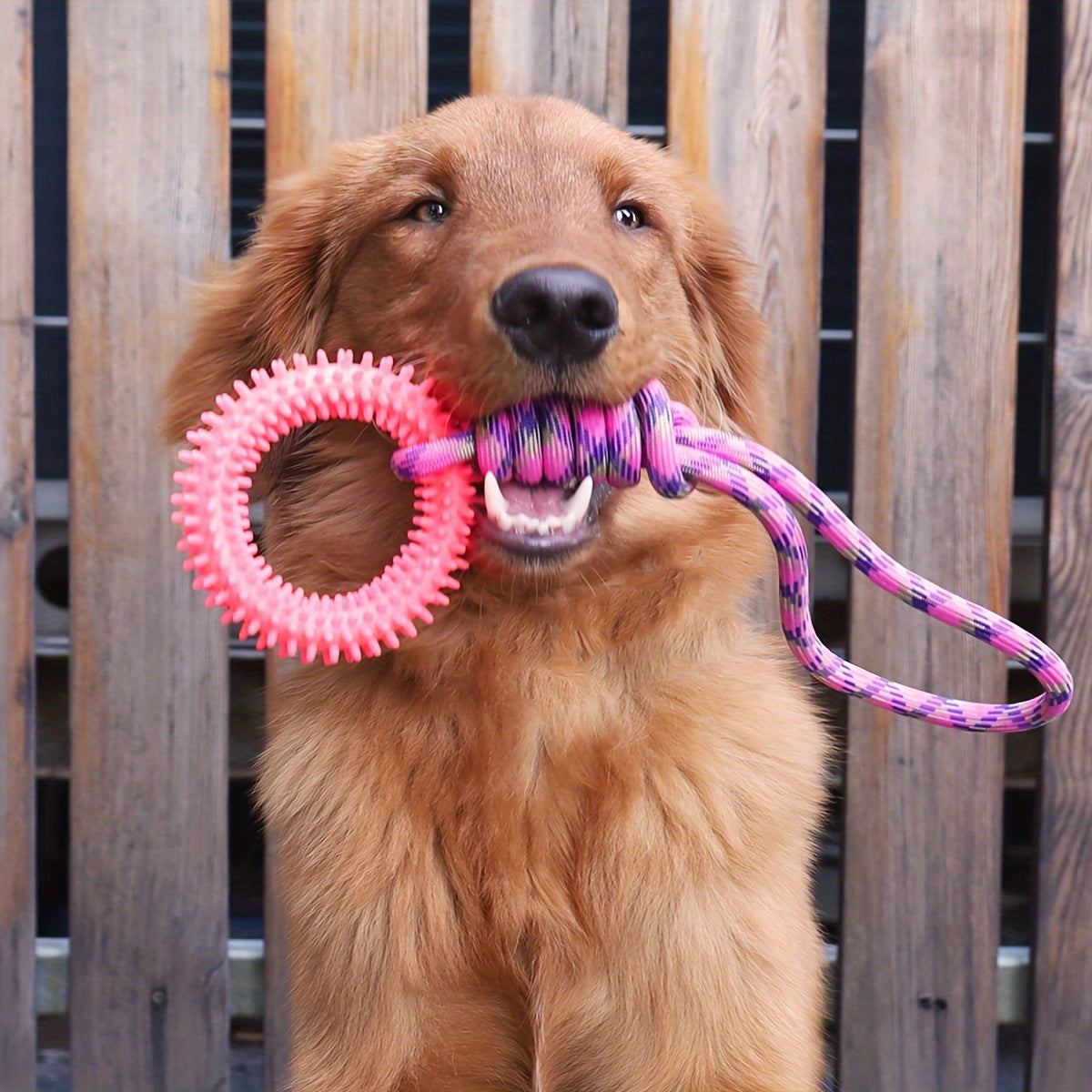1pc Durable Thorn Circle Dog Rope Toy with Secure Handle - Interactive Teeth Cleaning & Grinding Chewing Toy for Aggressive Chewers - Enhances Pet Dental Health & Playtime Bonding