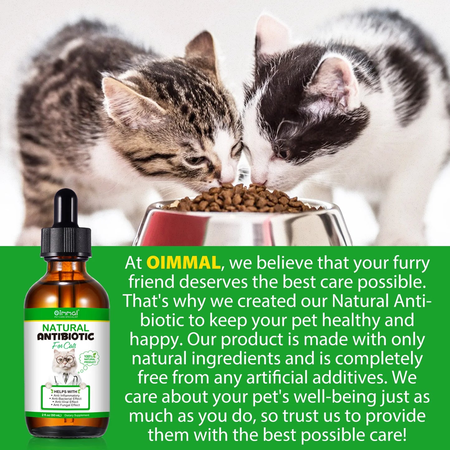 Natural Antibiotics for Cat Supports Pets Allergy Relief Itch Relief Multivitamin Help Cat Antiviral Antifungal in Liquid Form