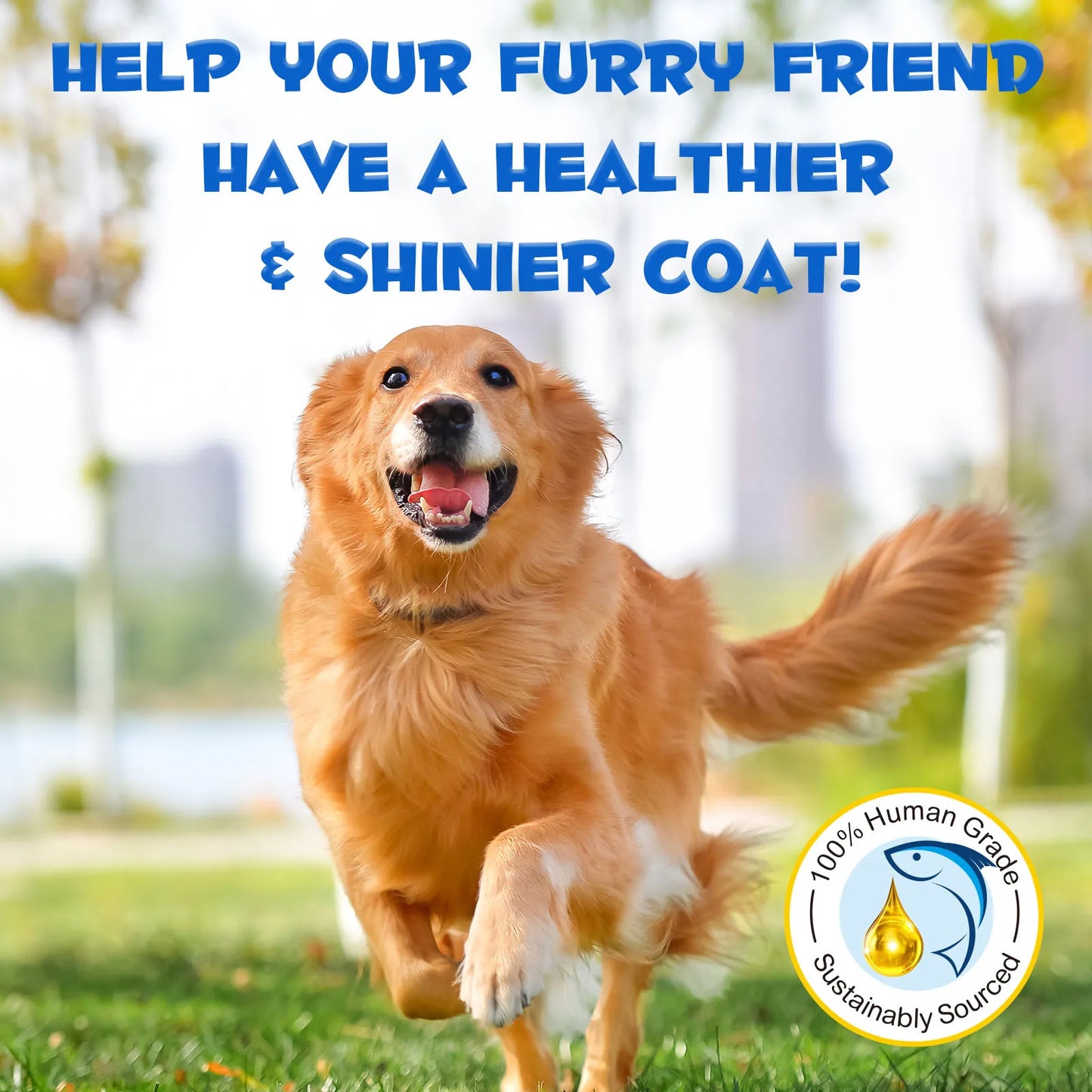 Premium Wild Alaskan Salmon Oil Omega-3-6 Fatty Acids with EPA DHA Supports Skin Coat Joint Health for All Ages Breeds Dogs Cats