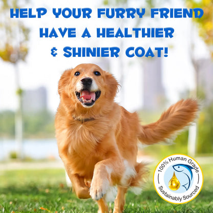 Premium Wild Alaskan Salmon Oil Omega-3-6 Fatty Acids with EPA DHA Supports Skin Coat Joint Health for All Ages Breeds Dogs Cats