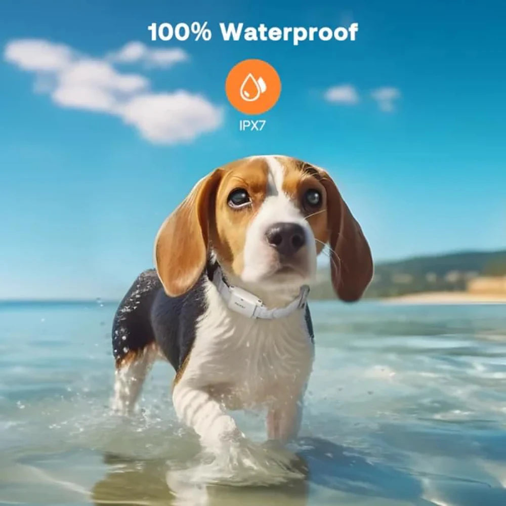 Dog Shock Collar for Small Dogs, IPX7 Waterproof Dog Collar with Remote for Small Medium Large Dogs 5-100 lbs