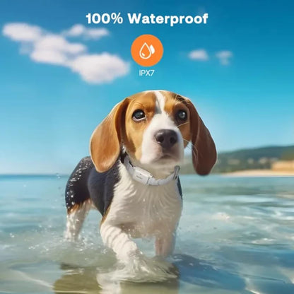 Dog Shock Collar for Small Dogs, IPX7 Waterproof Dog Collar with Remote for Small Medium Large Dogs 5-100 lbs