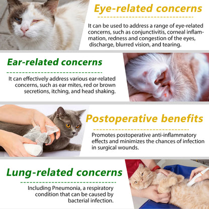 Natural Antibiotics for Cat Supports Pets Allergy Relief Itch Relief Multivitamin Help Cat Antiviral Antifungal in Liquid Form