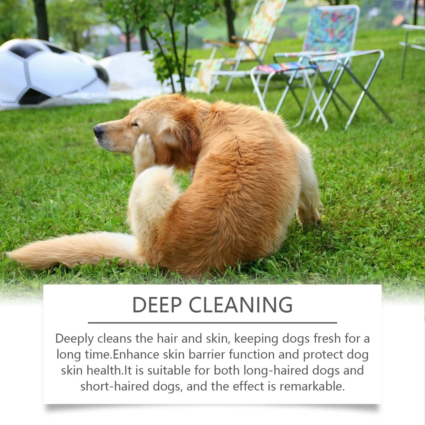 Yegbong 100ml Dogs Shampoo Moisturizing Skin Care Gentle Cleansing Fur Ph Balance Anti Itching Fresh Fragrance Pet Dog Shampoo